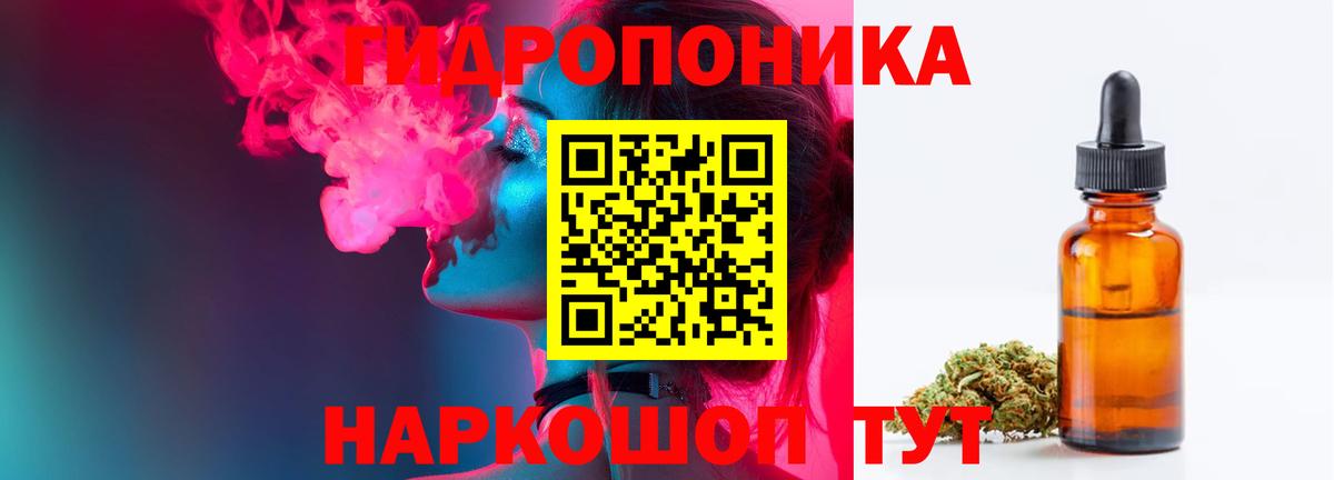 Бошки Шишки планчик Тулун